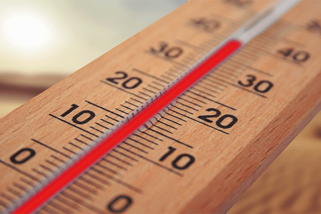 canicule