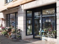 Fleuriste_pour_site Fleuriste_pour_site