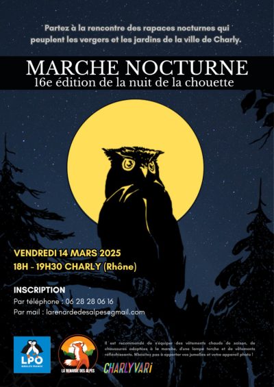 chouette chouette